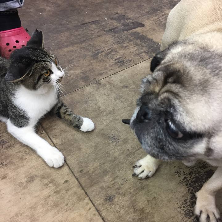 454604d5 1178 4328 8c2b a6ecb9ede6d1