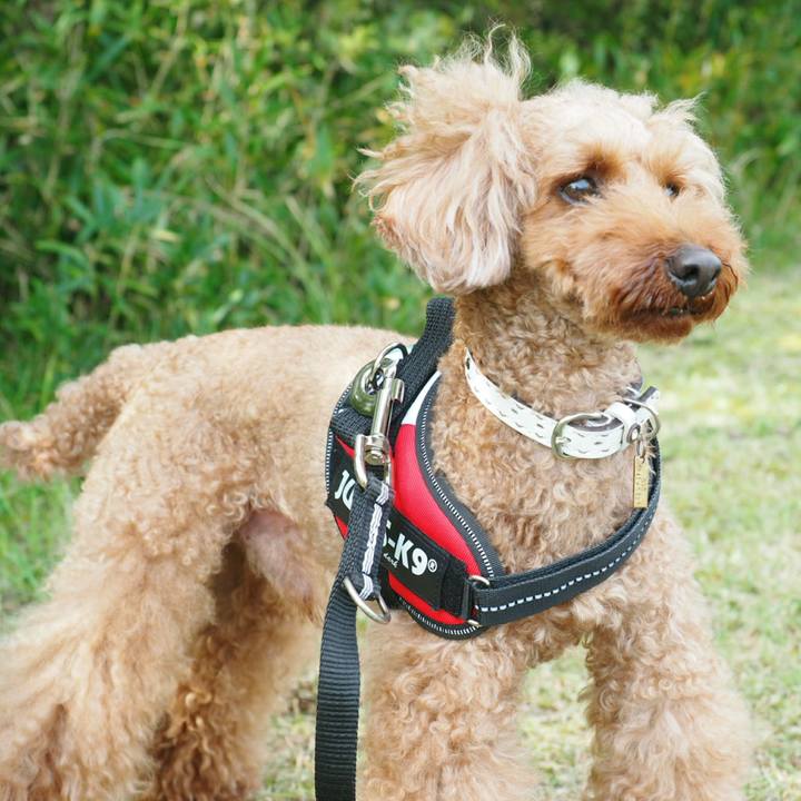 45467b9b fdd6 4e09 aef1 b0a213abff28