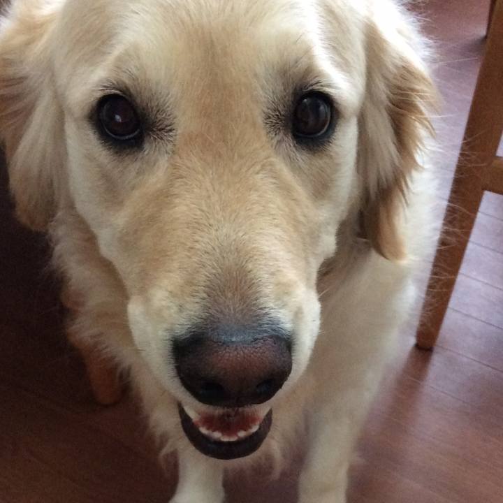 454730c8 2fab 46ae b390 ee59984bcf4c