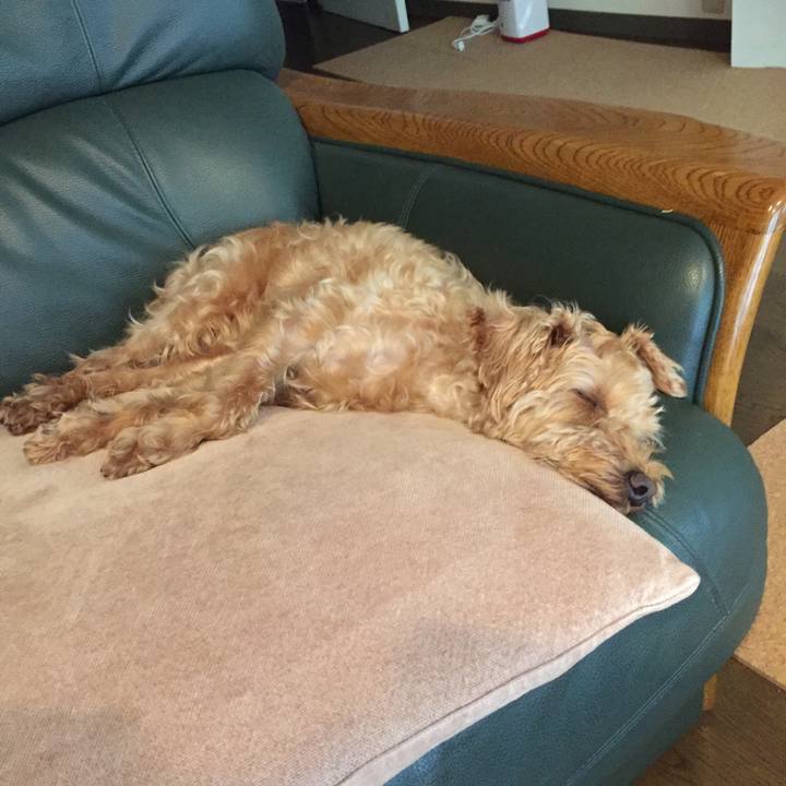 45474cb0 7afc 432e 81c4 a0bdec863e5d