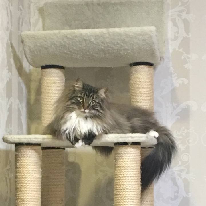 4547534a 5d09 44a7 be0a 763d26e4d8e9