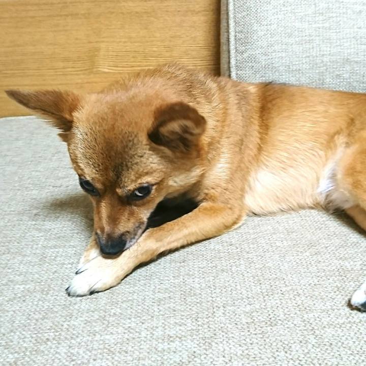 454771b6 0c14 45d2 9294 a13fad20db8b