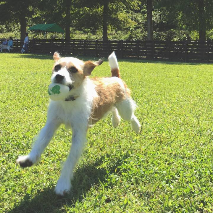 454777e0 4498 4b18 a109 68c842bf3031