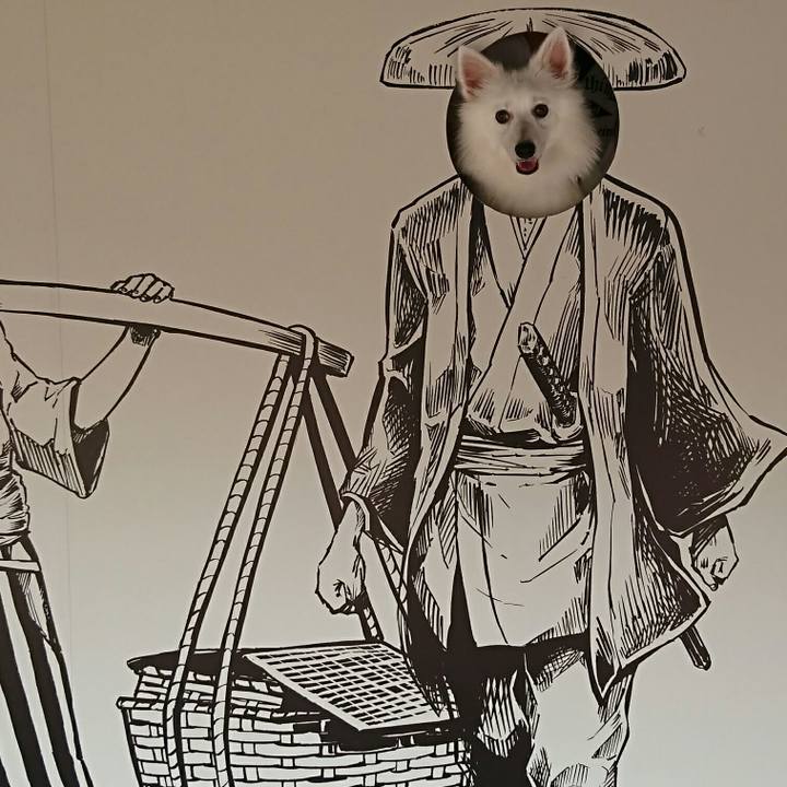 4547b686 943d 4617 90e9 346e774dbfd5