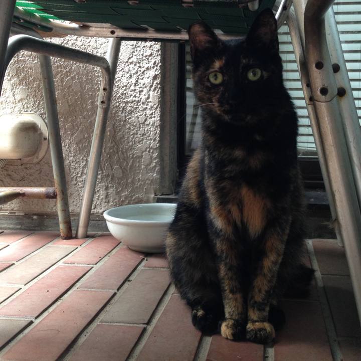 45482c39 9480 43ae b551 29f150e4db8d