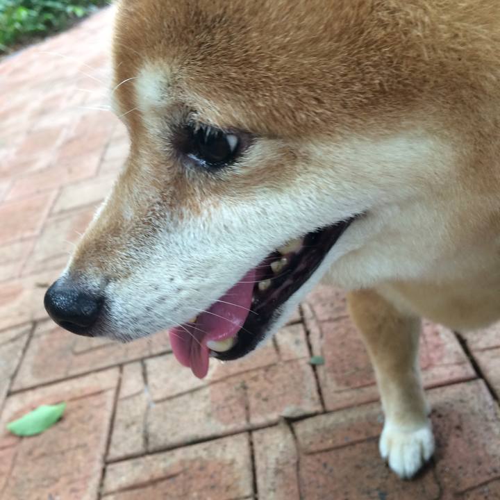 454843eb bb03 431f 8a1b c8e000022818