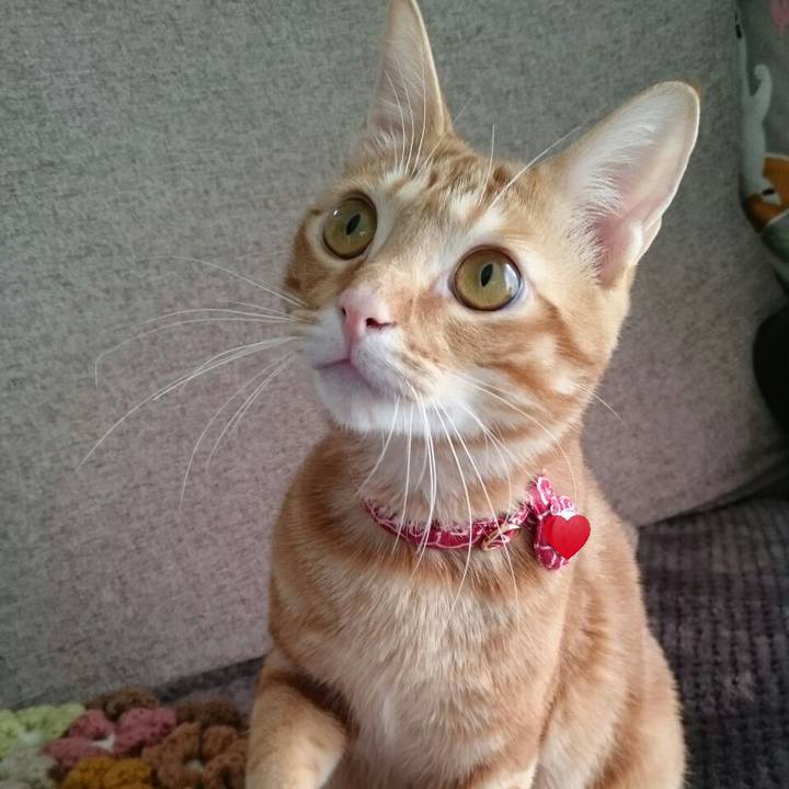 4549d323 d33f 4667 a834 0c33f2b6b930