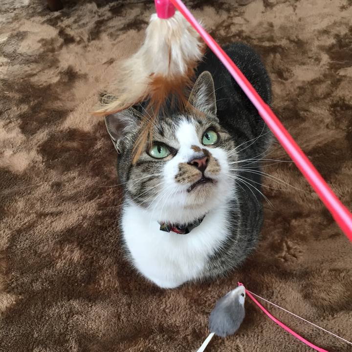 454b4916 f162 496a a177 cbf3797477dd