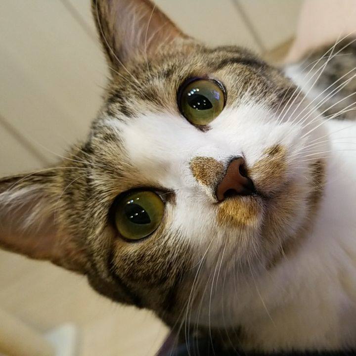 454b8726 6b02 4bd7 a74e 6eda697efbd0