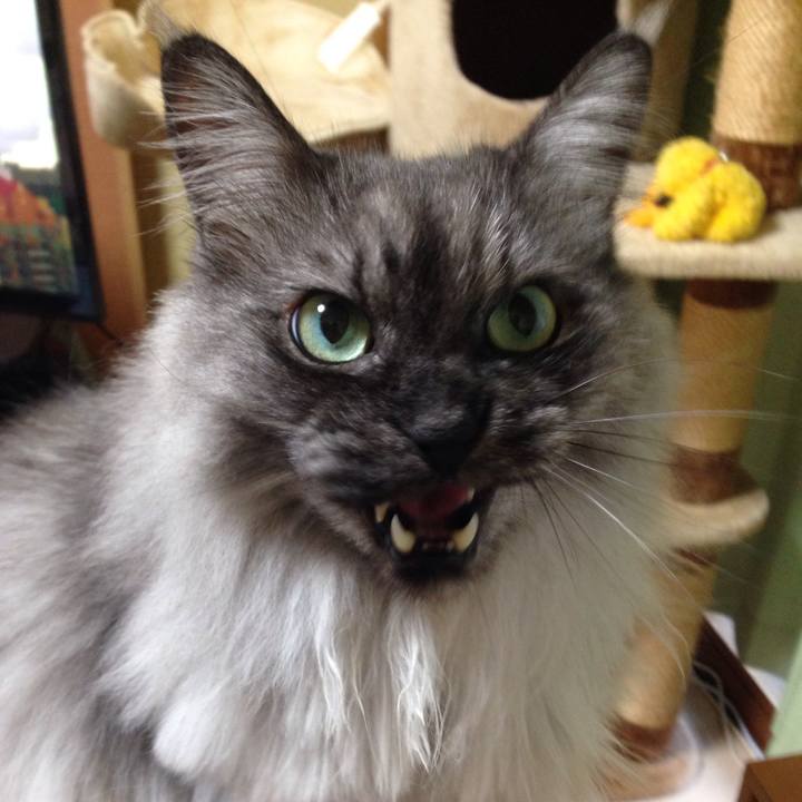 454bfc3a ef12 4693 a2a1 93657f00fbe9