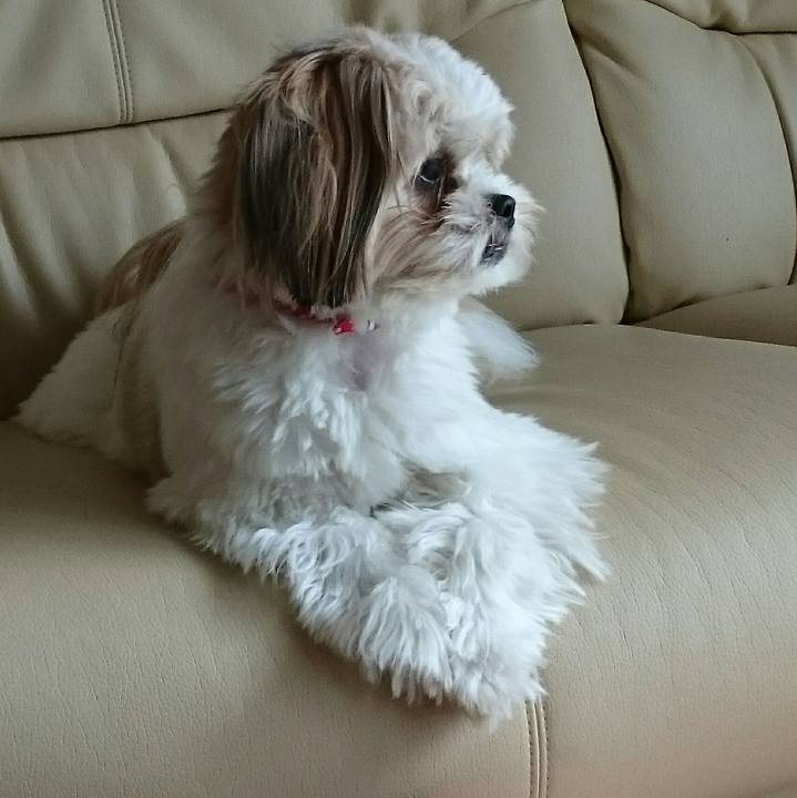 454c8733 911b 4670 8b1b 46601b293bf4