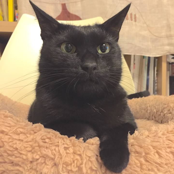 454d2c41 6904 4be0 857b 766e8640978f