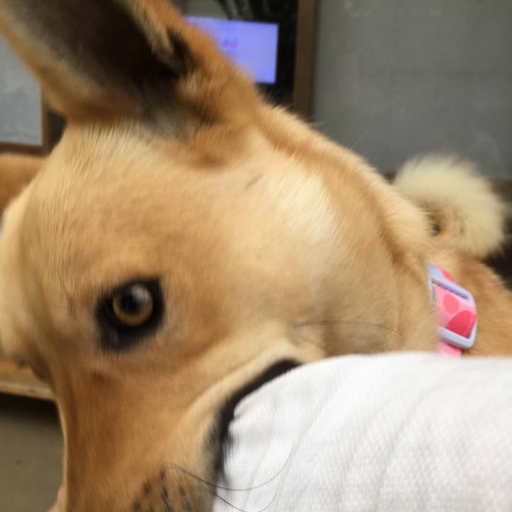 454d8061 1502 4d38 b724 bd10585e7e75