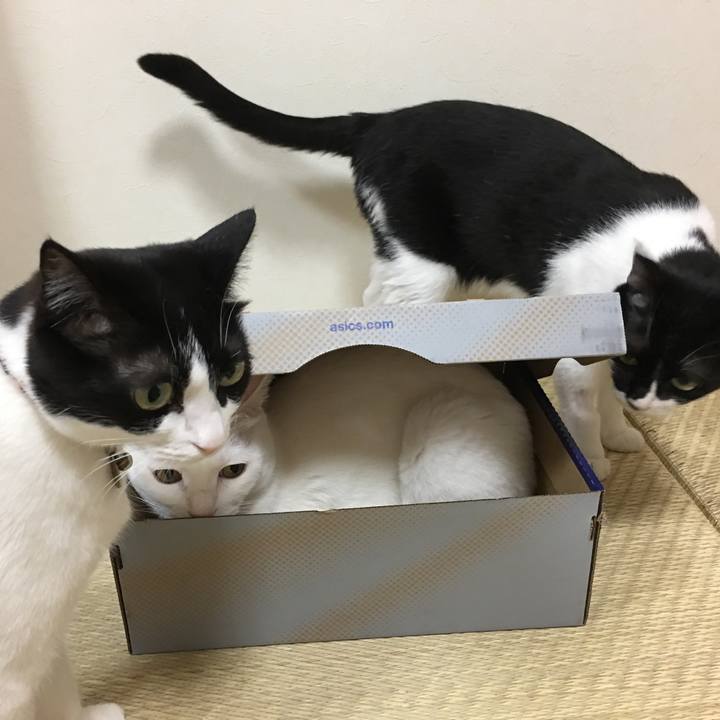 454dd87e 785e 4b7c a6a8 1ff51b06d698