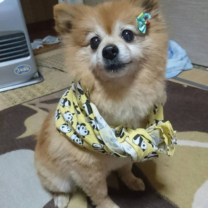 454edf45 cc6d 42ac 99b7 f5dd2b14bcbc