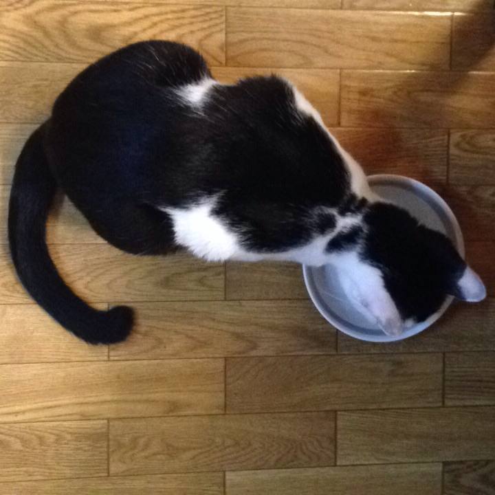 454edfc4 4702 494b a8f7 9198e1c8a9ac