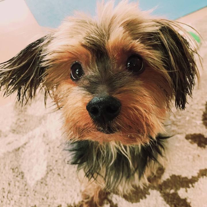 454fb3bb d9c1 41ef b5f3 c80e48b35e34