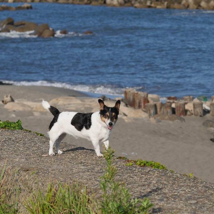 45507366 05f7 4d36 b992 53b422b2d9e0