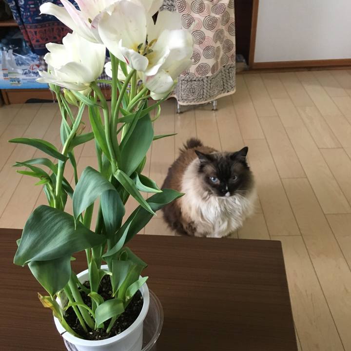 4550a58f b643 47b2 bed7 ba59bedb05d0