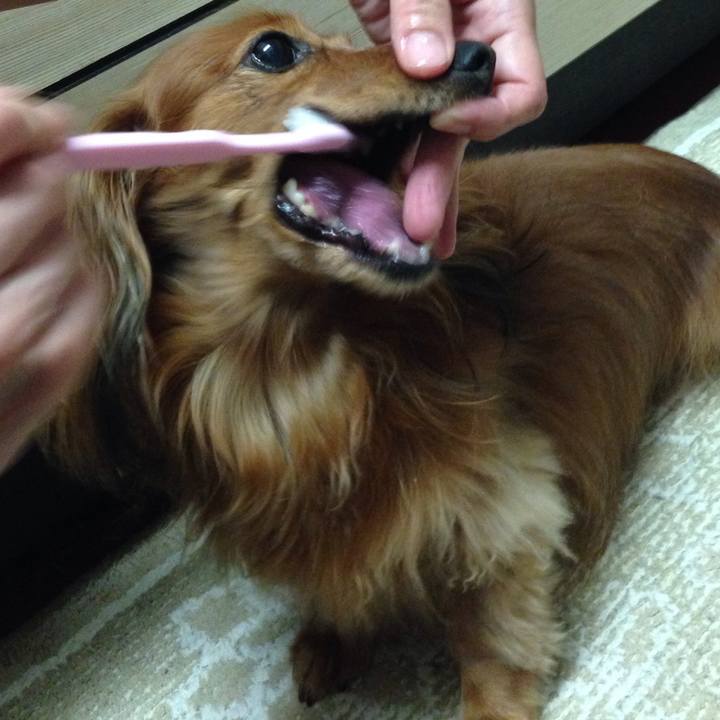 4550ee9c 8be2 4baa 8663 acae6d2dec29