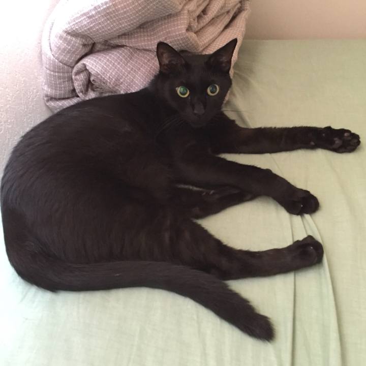 45510bcc 5412 470e bc81 45cf5c5aef5f