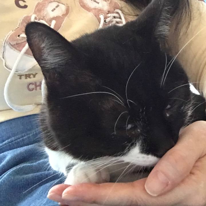 45515b6b 21bc 4af5 9531 75bb3e92e410