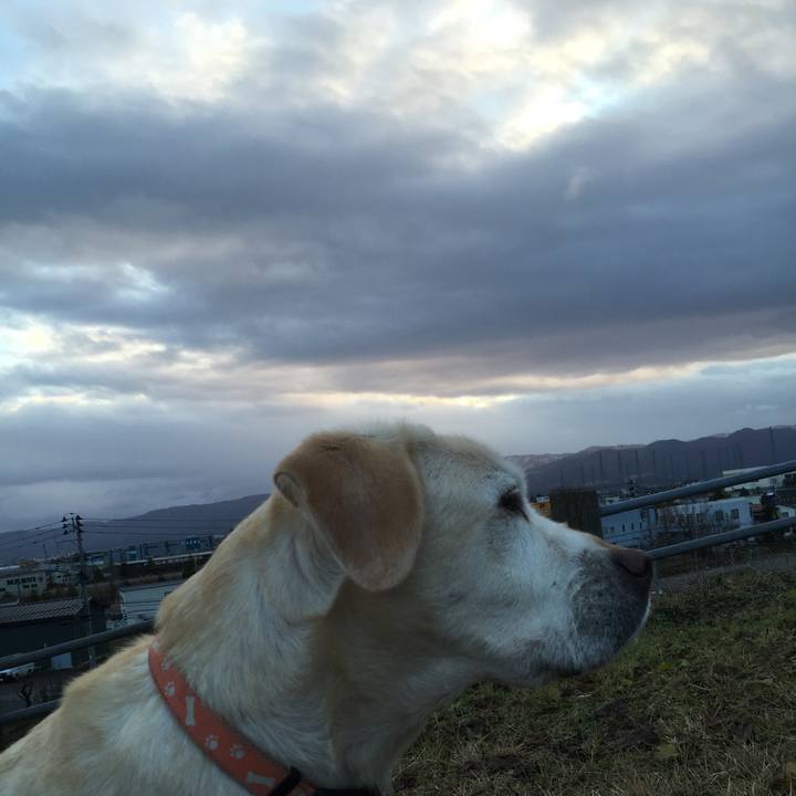 4551af21 9baf 4f8a bbf0 60e642c46a18