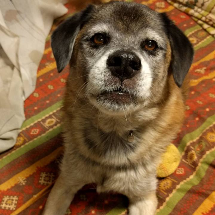 4552bcf6 6396 4a35 bf3e 104f40c2a851