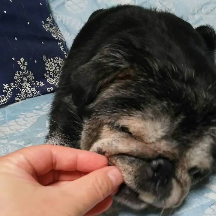 4553136f 6256 45b6 a38e 5f0cfb3213a2