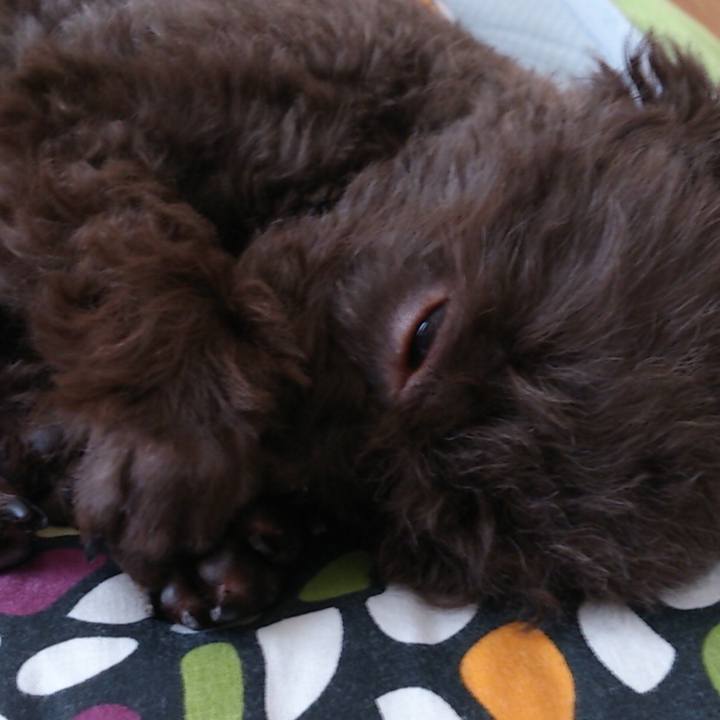 45533d5f 0c60 4d18 8e47 8b34fc6d9411