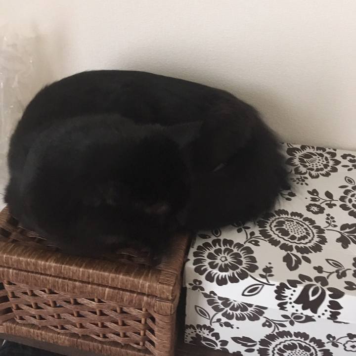 4553d763 0dea 4206 9d91 ed0ba526ec41