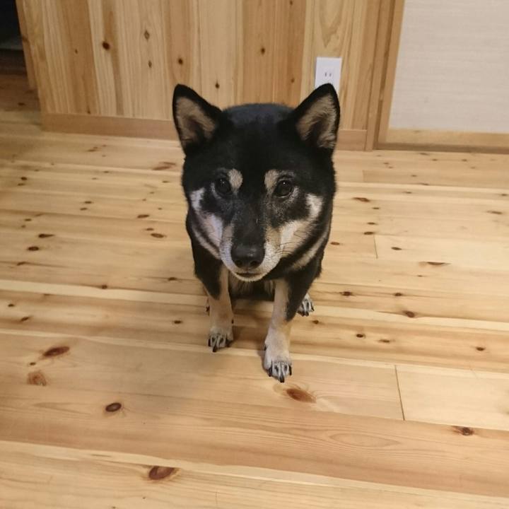 4553ee65 d3e1 4950 9bdf b3fe200e2658