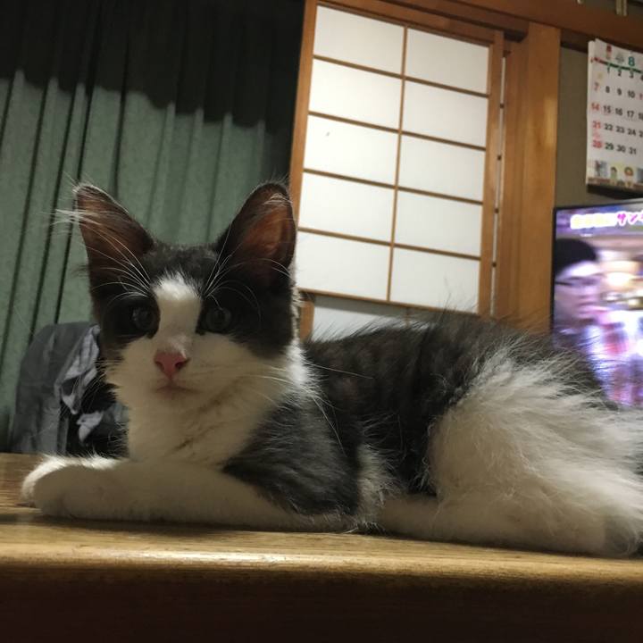 45546616 5b6b 4c83 8f31 c48aeb56d66f