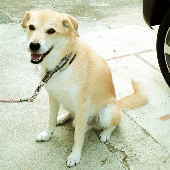 4554c026 7040 470d b0ef 959cf377c7c9