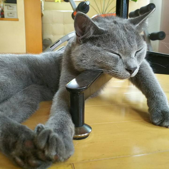 4554c947 32df 42d7 90d3 7a39c8b8e792