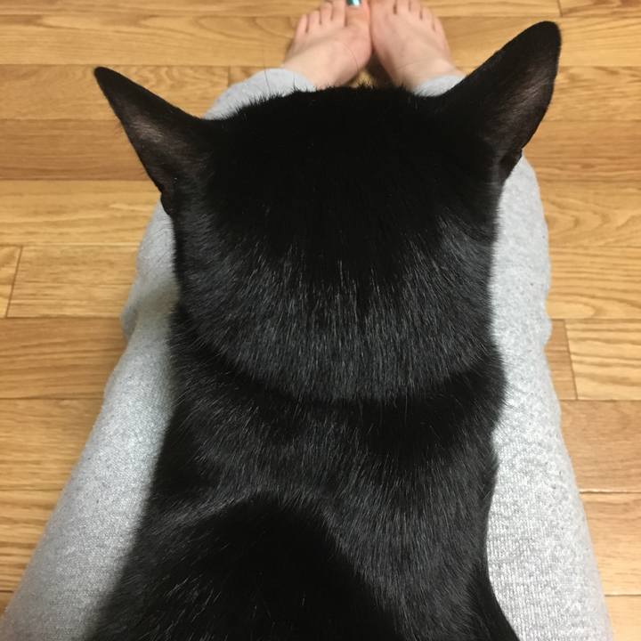 45559d2b 036b 4108 a667 ff6646a9af43