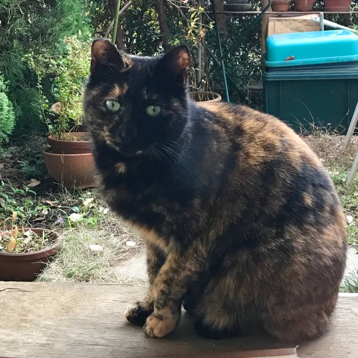 45567e35 5190 4773 b432 1b75968fa7d6