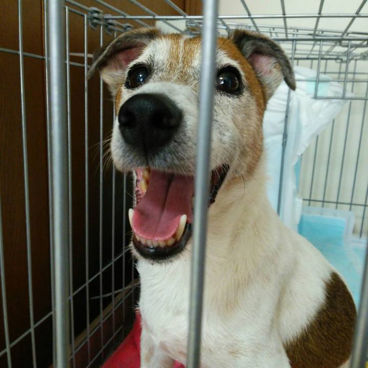 4556d53a ca77 46cf ba50 50658c76d19e