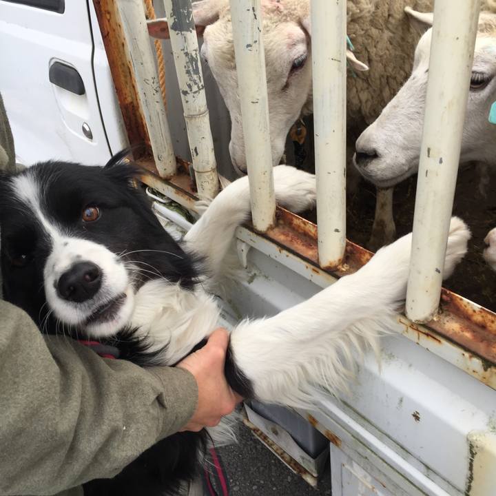 455713fc 34a6 443c 8ea9 1fc847dbdb6b