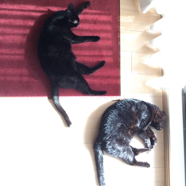 4557259c 76f1 4cdc 8d5d 2df7b4f13978