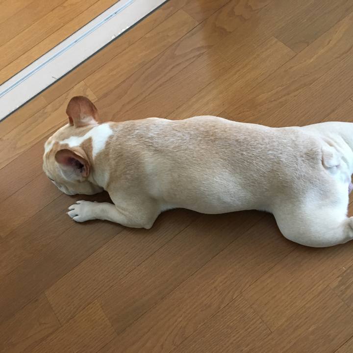 455734d9 328b 44a9 a9b2 6b00a4bf4119