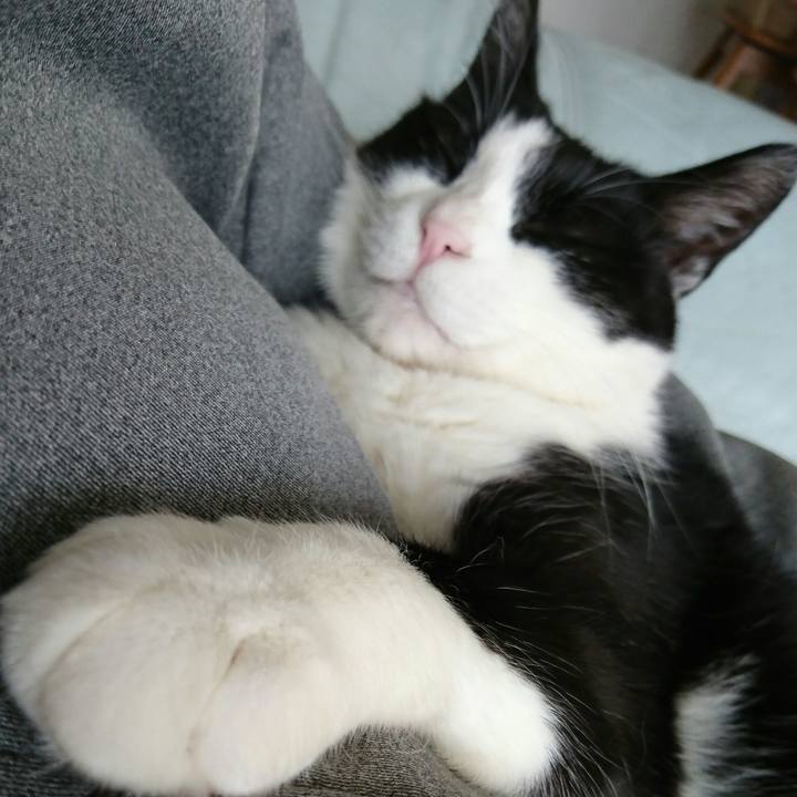 4557e178 93e6 4a3a b51a f724a8b23607