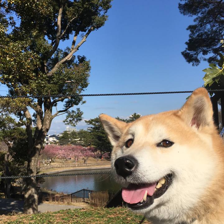 45581e41 ea48 4321 b3e8 f7c9a9cd3d39