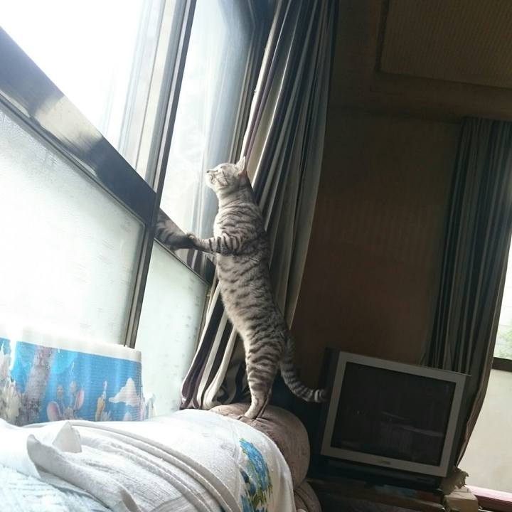 455890a0 de98 4eb5 a259 240c37a1dfb0