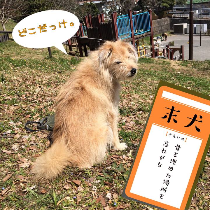 4558df9e 4851 4718 93c7 53598a864f2c