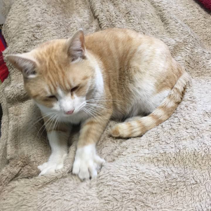 455976d9 ab0e 4f25 8d39 6710c734bde5