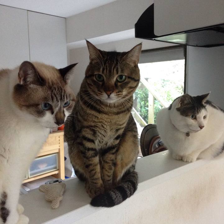 45598c28 e666 45cc a38c 30e1e5c72c22