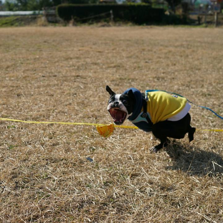 4559990d 5b76 43ea b97e 9556cfb15826