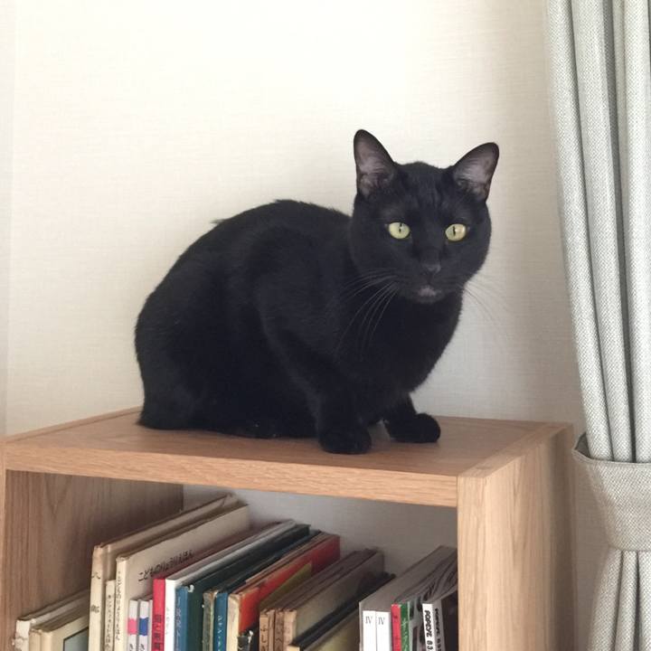 45599ac7 3119 4975 8844 31ebdabc9cce