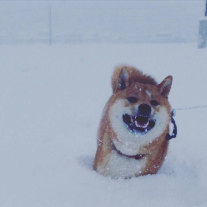 455b3133 1fe8 4d83 95bb e8dab762aa44